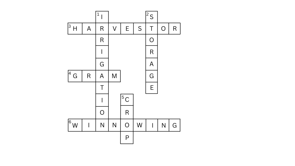 Solved crossword for Problem 11.
