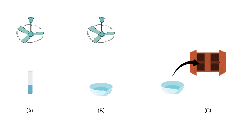Water in a test tube and china dish both kept under a fan and water in a china dish placed inside a cupboard is shown.