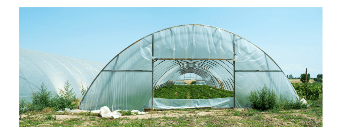 Nursery with crops growing inside it.