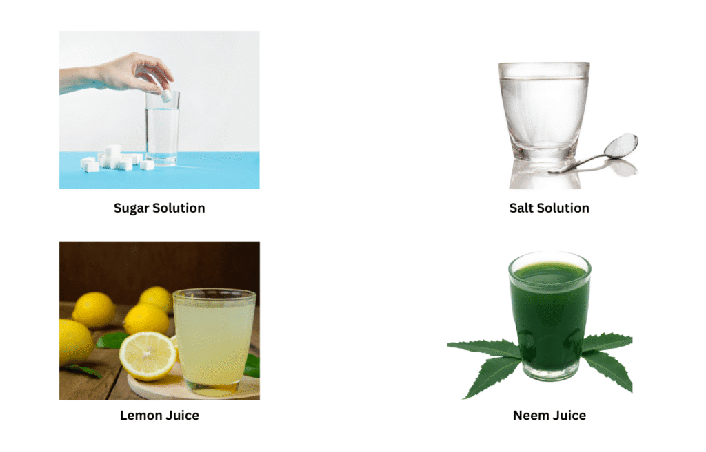 Four samples of sugar solution, common salt solution, lemon juice, and juice of crushed need leaf are shown.