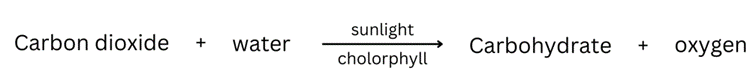 Equation for the process of photosynthesis.