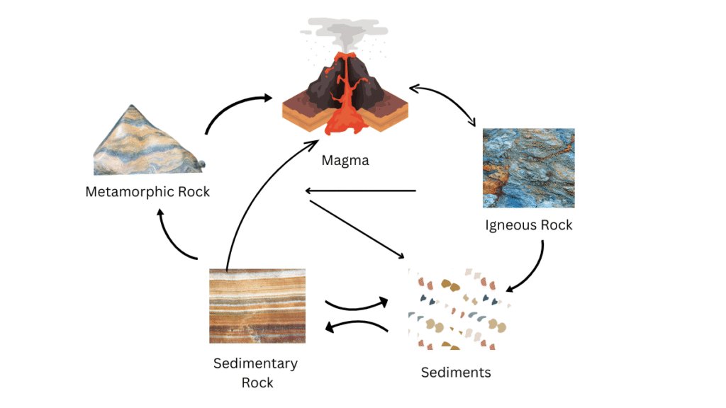 The rock cycle where one type of rock is transformed into another type is shown.
