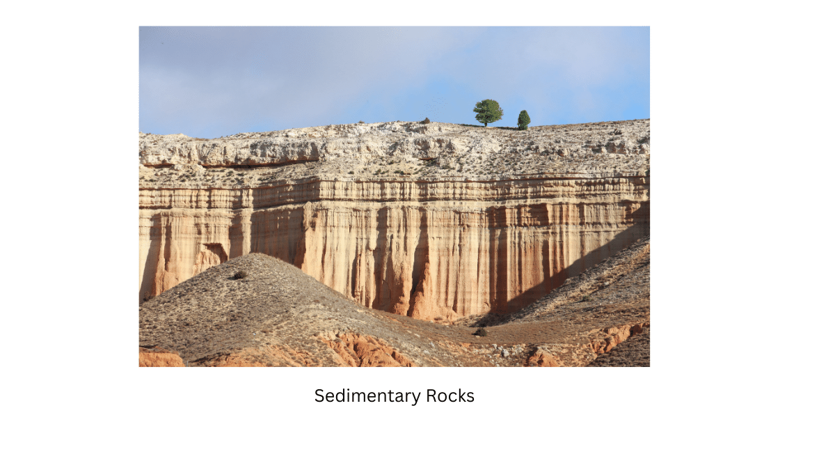 Real-life sedimentary rocks are shown.