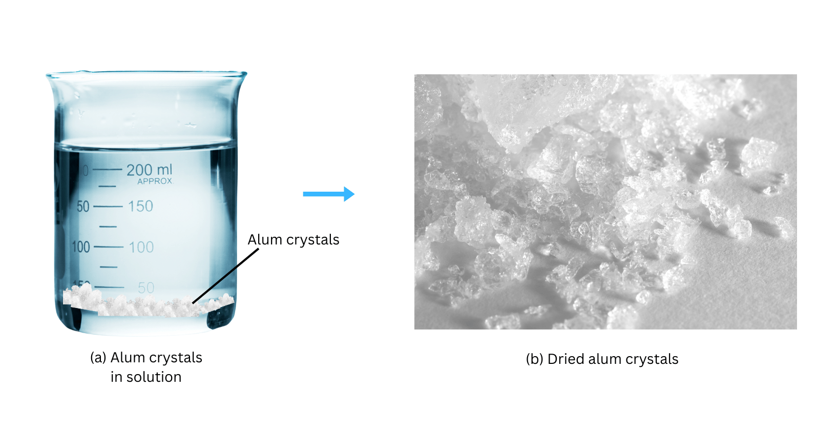 Alum crystals in solution and after being filtered.