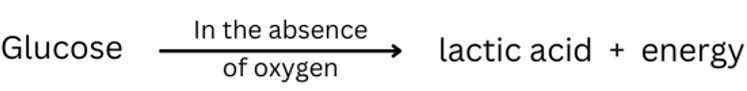 Equation for anaerobic respiration.