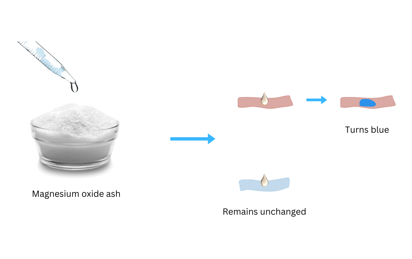 Aqueous solution of magnesium oxide ash turns red litmus paper to blue.