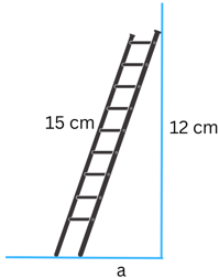 Figure for Problem 3 Exercise 6.5.