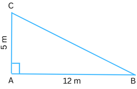 Figure for Problem 5 Exercise 6.5.