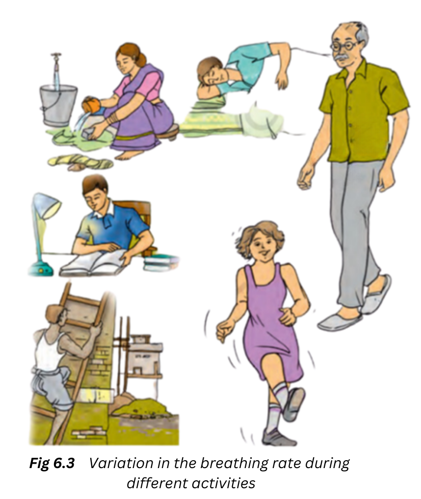 Image showing different activities being carried out by different people.
