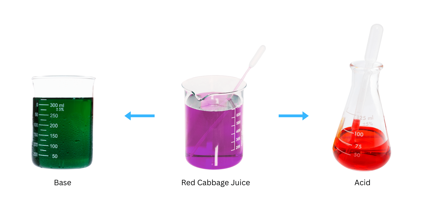 Colour change on addition of red cabbage juice to acid and base.