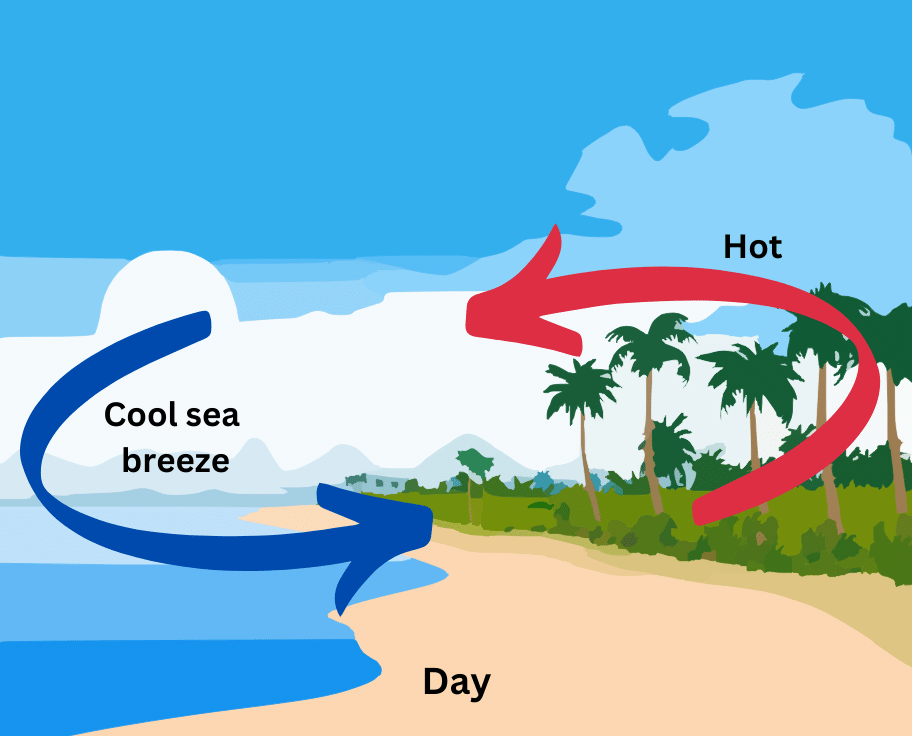 Direction in which sea breeze blows.
