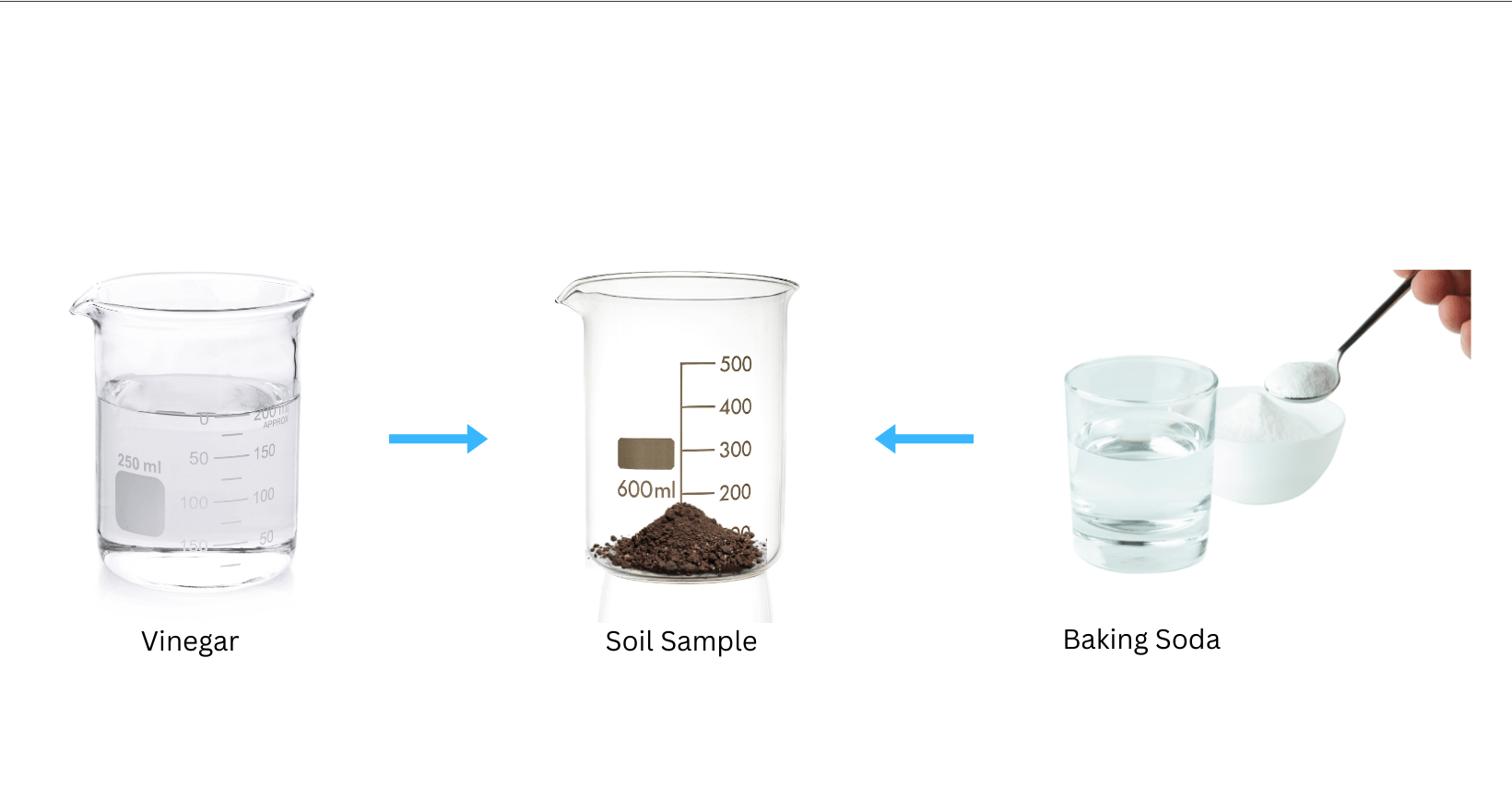 Adding vinegar and baking soda to soil sample.