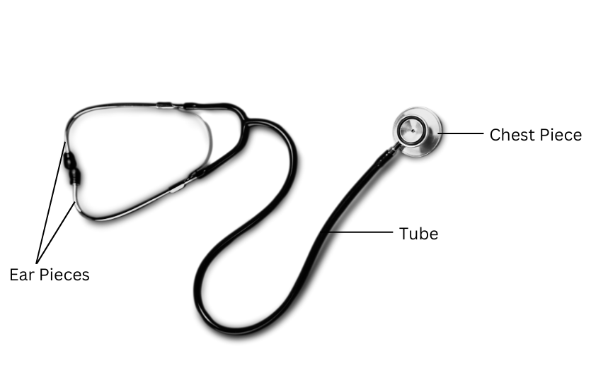 Parts of a stethoscope including chest piece, tube and ear pieces.