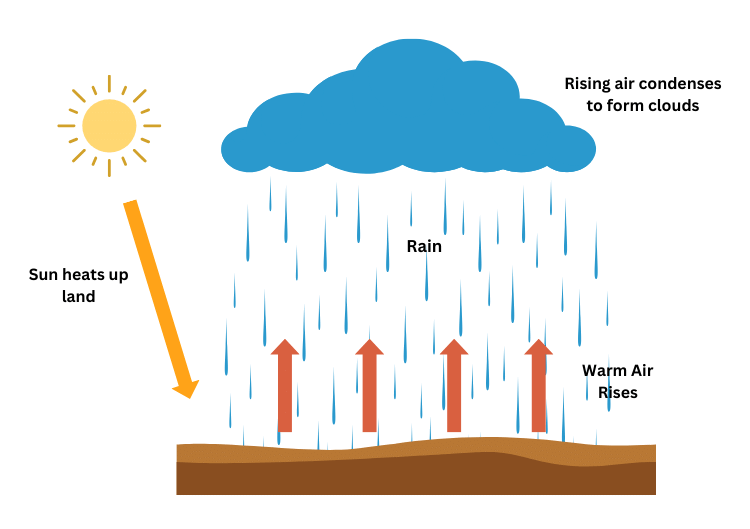 Convectional rainfall.