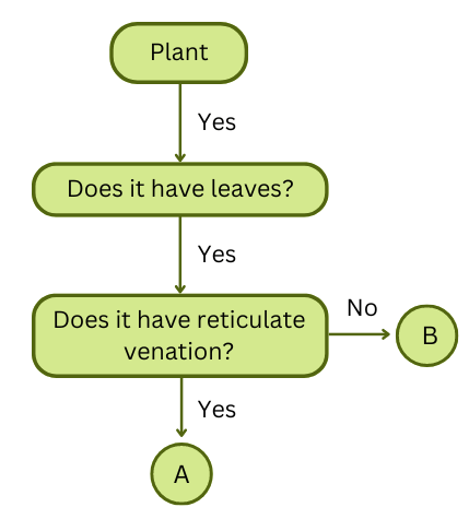 Flowchart given in question 7.