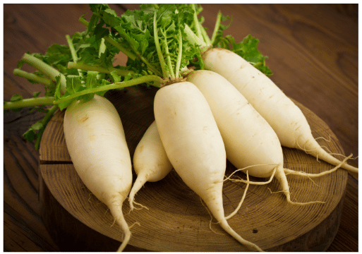 Radish with tap roots.