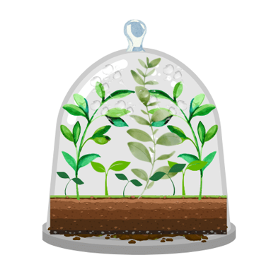 Terrarium.