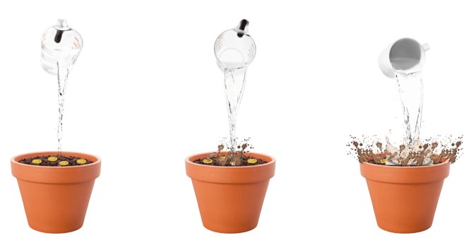 Water being poured on top of three flower pots.