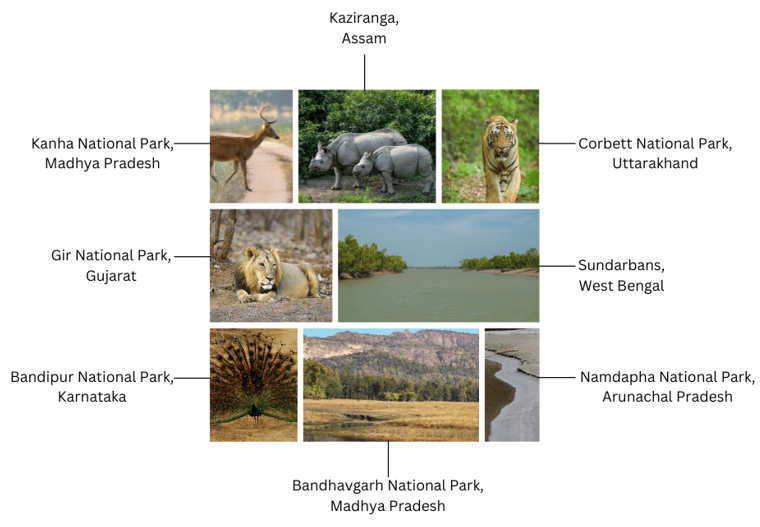 Collage of wildlife sanctuaries.