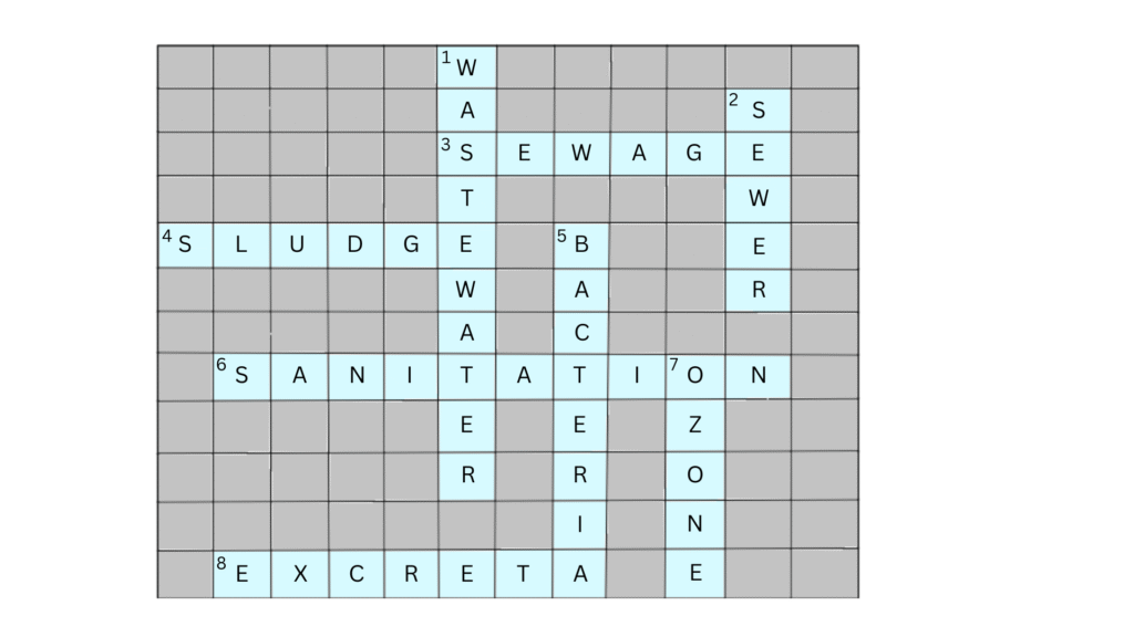Answer to crossword problem 11.