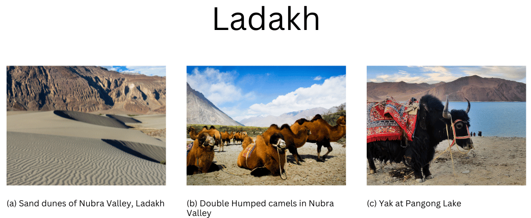 Pictures of Ladakh.