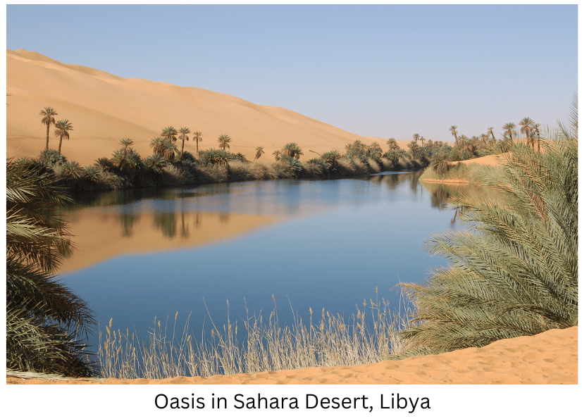 Oasis in Sahara Desert in Libya.