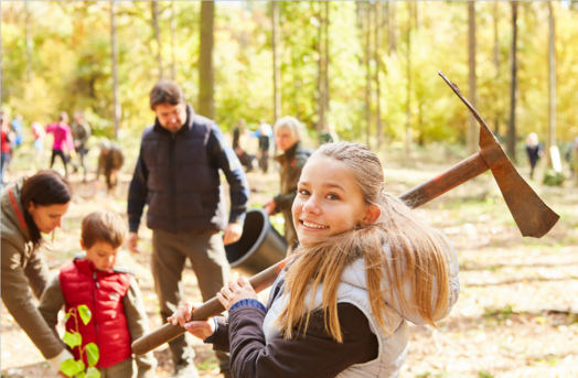 Reforestation by planting of trees.