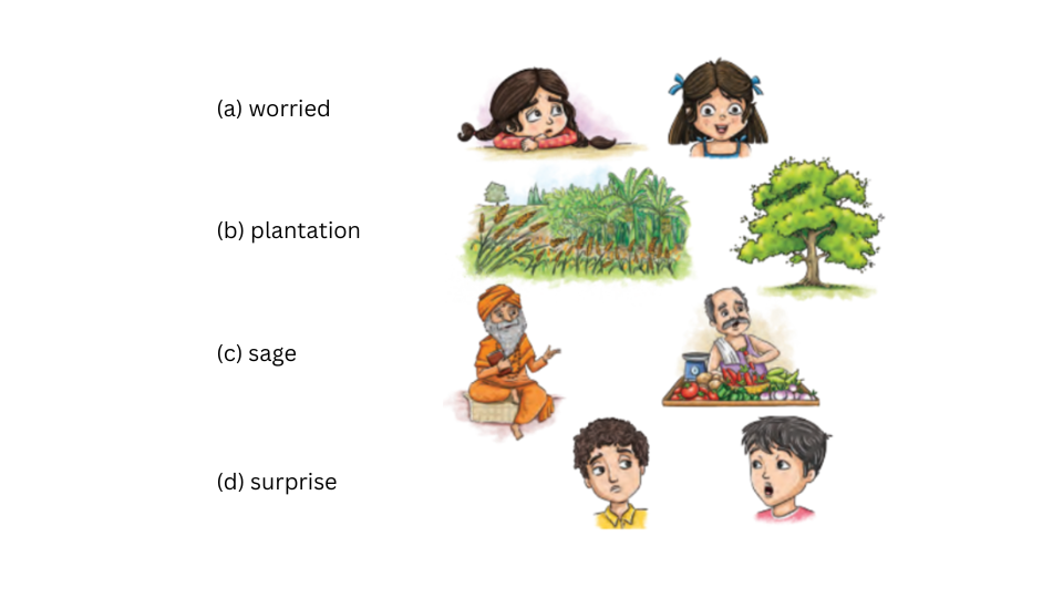 Poorvi Unit 1 Chapter 1 Activity 1 question.