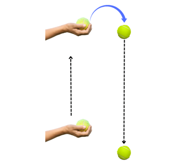 Ball raised through a certain height and dropped.