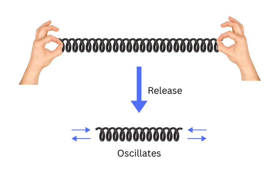 Slinky being stretched by hands and released.