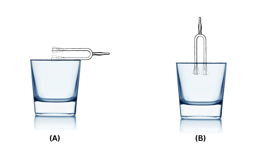 In (A), the tuning fork is held horizontally such that one of the prongs touches the water surface and in (B) both prongs are dipped in water.