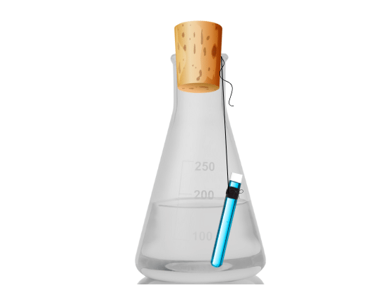 Conical flask with ignition tube inside.
