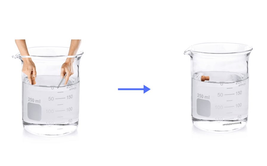 Cork floats on water while the nail sinks.