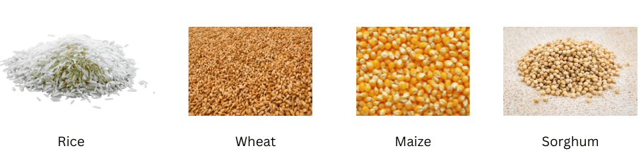 Cereals.