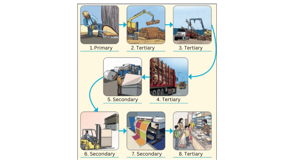 Pictures in the illustration labelled as primary, secondary and tertiary sectors.