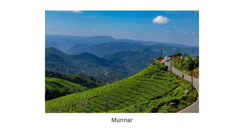 Tea gardens in Munnar, Kerala.