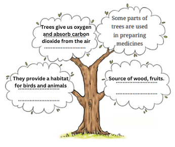 Ways in which trees are useful.