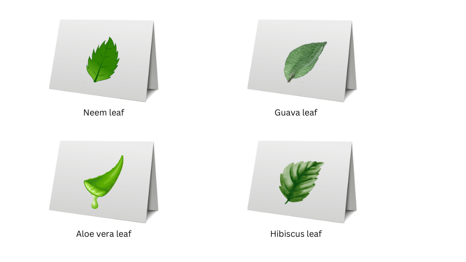 Four cards with drawings of four leaves on top.