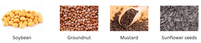 Oilseeds.