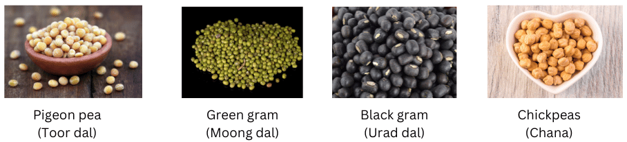 Pulses.